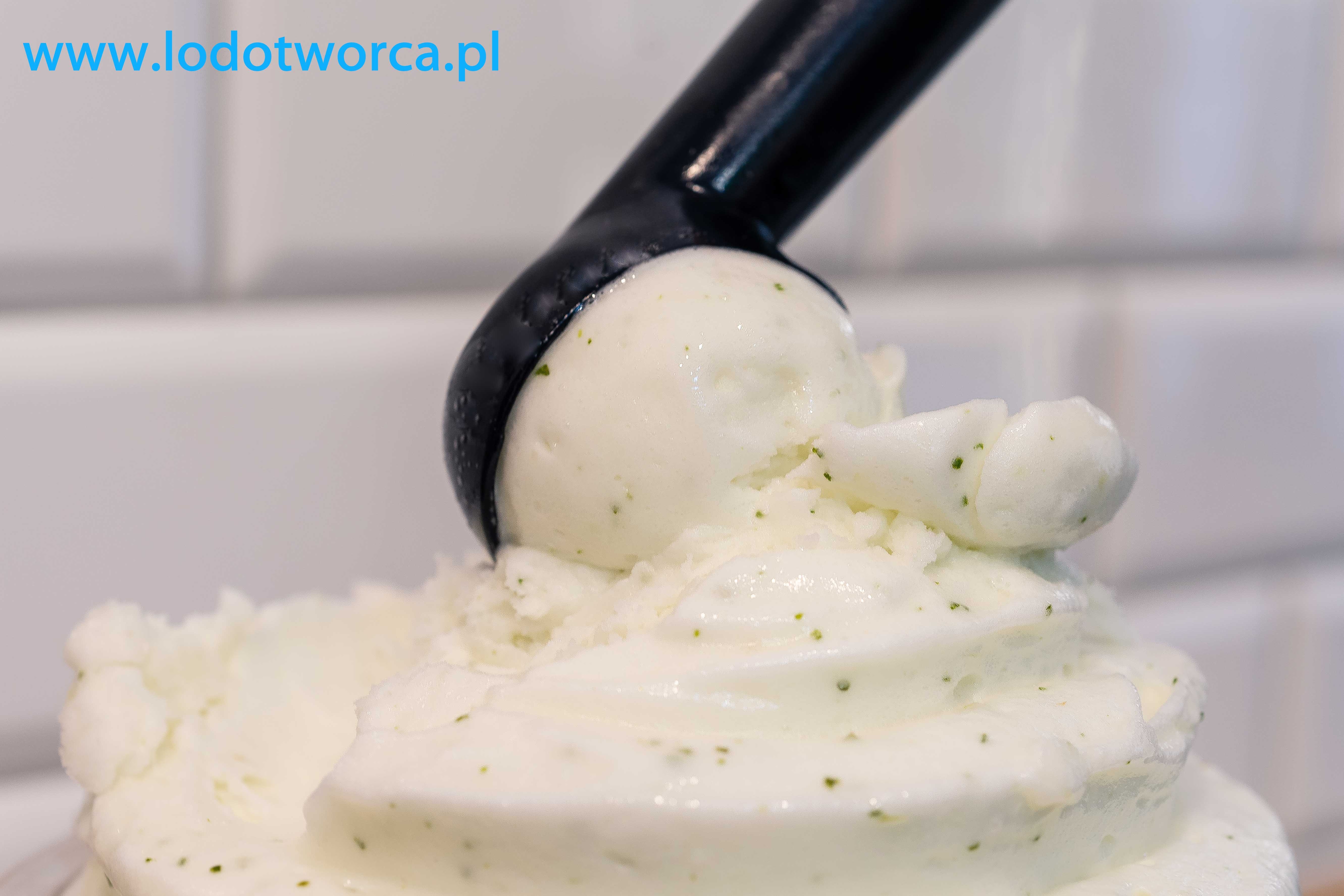 Rzeszów lody mojito lodziarnia jogurteria kawiarnia shake milkshake mrożonyjogurt lód włoski sorbet kawa cafe rurki z kremem deser lodowy bita śmietana soki frappe posypki polewy.jpg