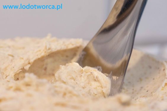 Wyjątkowe lody Rzeszów