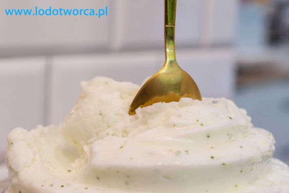 Porywające lody Rzeszów