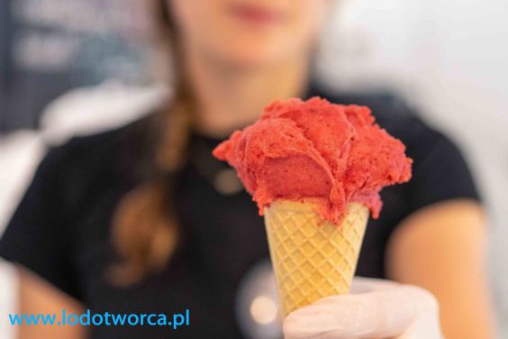 Lody Rzeszów najzacniejsza lodziarnia