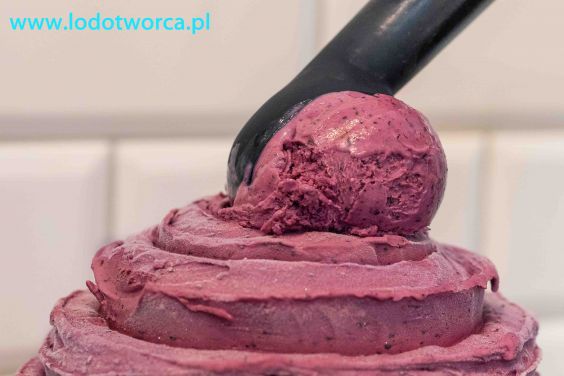 Lody Rzeszów najszlachetniejsza lodziarnia