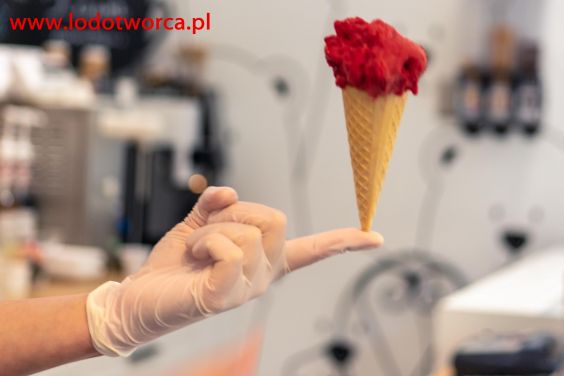 Lody Rzeszów najpiękniejsza lodziarnia