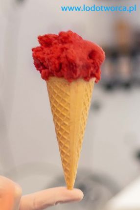 Lody Rzeszów najwyborniejsza lodziarnia