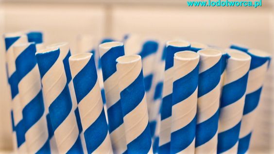 Lody Rzeszów najowocniejsza lodziarnia